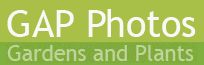 GAP PHOTOS Logo